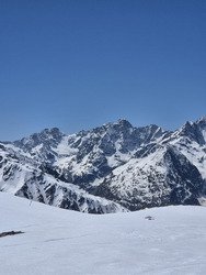 Carres affûtées, bonheur assuré, même sans muguet 