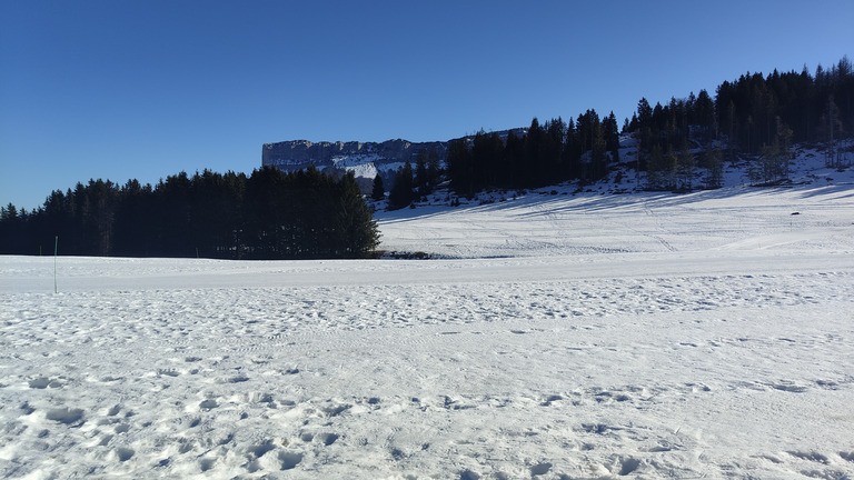 La der en Chartreuse ? On n'espère pas 🤞