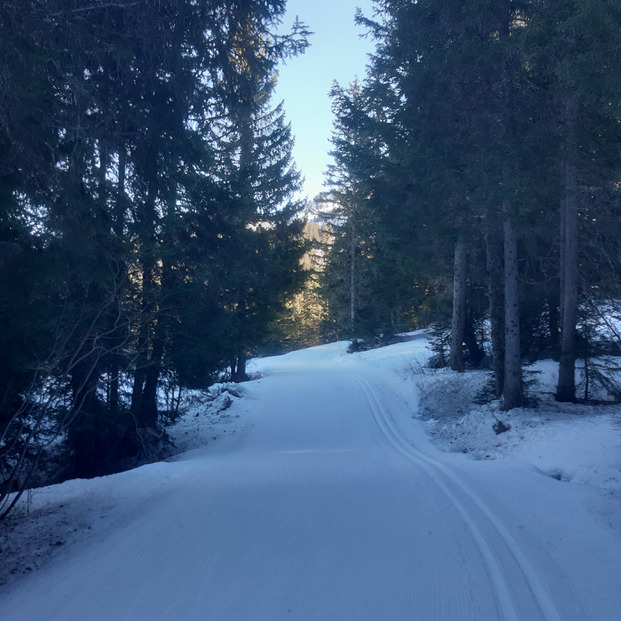 Bonne journée, bon ski