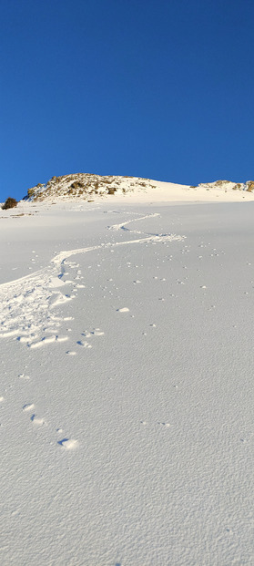 Pointe de la Fenêtre : la persévérance récompensée 😍