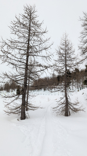 Excellent sur piste, très mauvais en dehors 