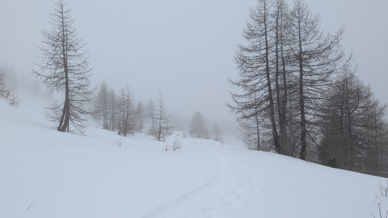 Excellent sur piste, très mauvais en dehors 