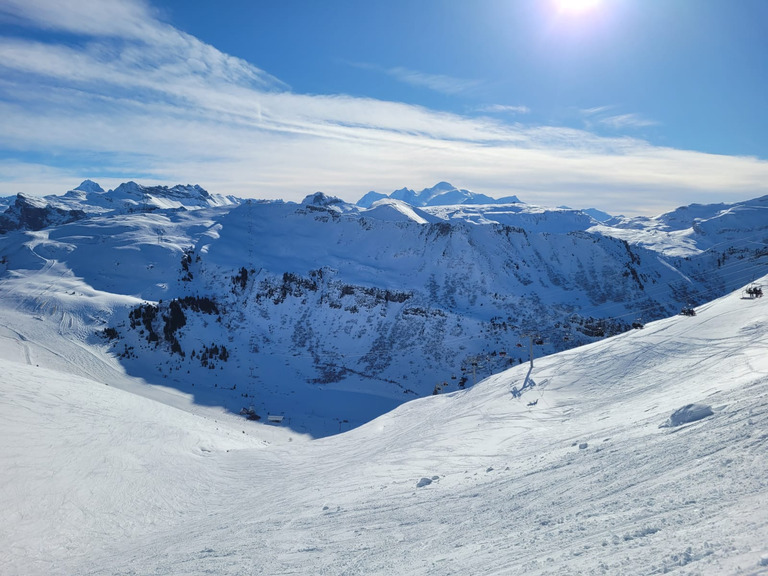 Les 4 saisons de Viveleski