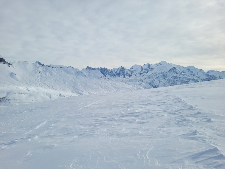 Les 4 saisons de Viveleski