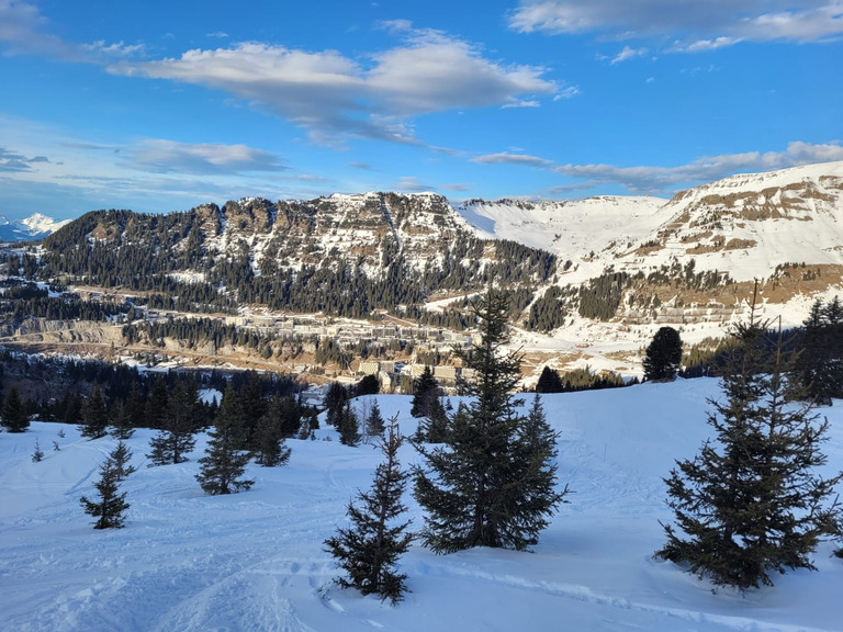 Les 4 saisons de Viveleski