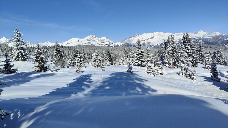 La petite dose qui va bien ❄️