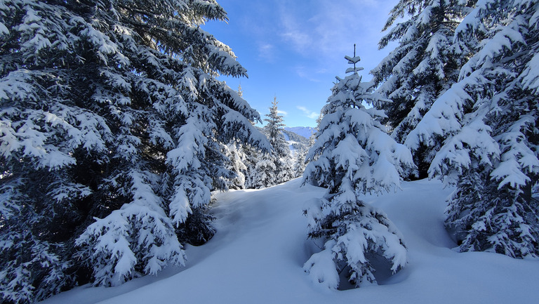 La petite dose qui va bien ❄️