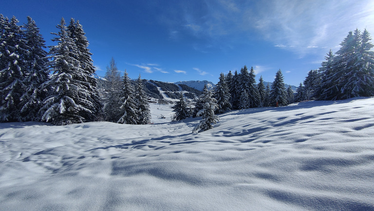 La petite dose qui va bien ❄️