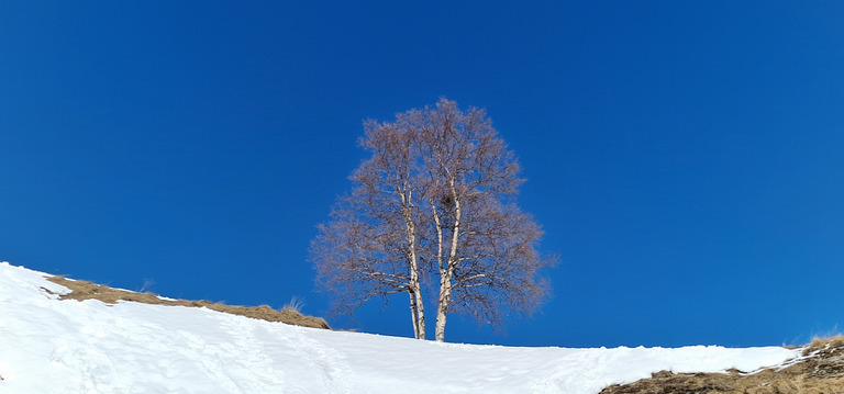 ☀️ motivés du samedi ❄️