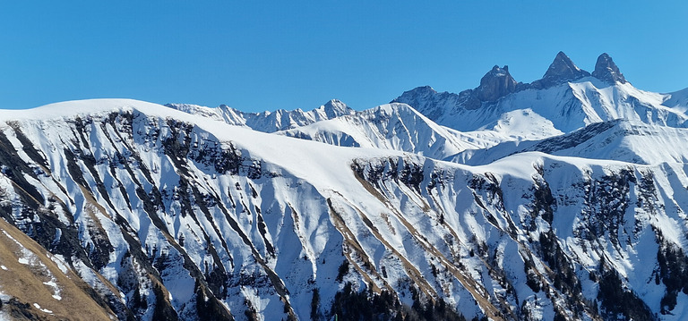 ☀️ motivés du samedi ❄️