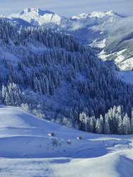 Ici comme ailleurs...