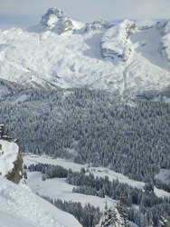 Ici comme ailleurs...