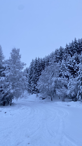 ❄️⚡️Beni des dieux ⚡️❄️