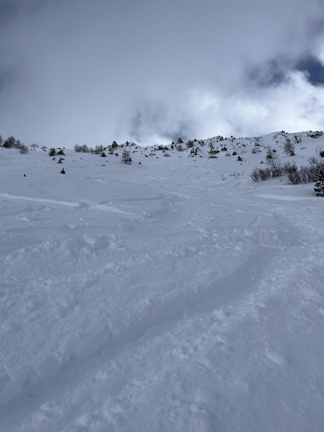 L’hiver après la misère ! 