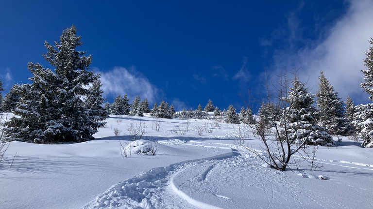 Neige, soleil, Peuff😜, puis neige.