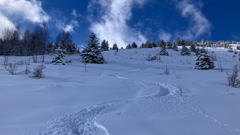 Neige, soleil, Peuff😜, puis neige.