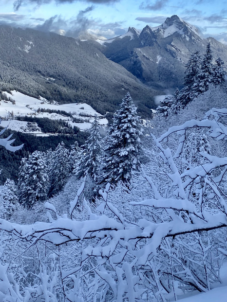 Chamechaude nébuleux mais poudreux 🤩🤘