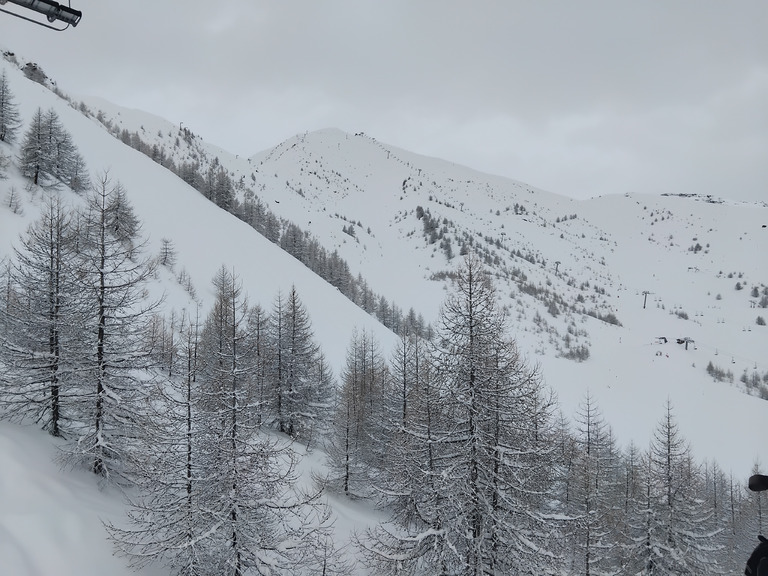 Les 25cm nocturnes qui font plaisir 