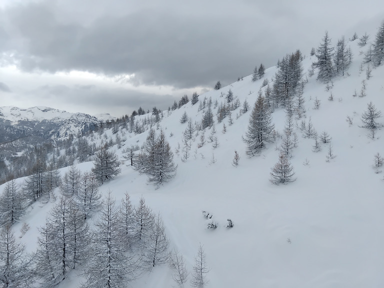 Les 25cm nocturnes qui font plaisir 