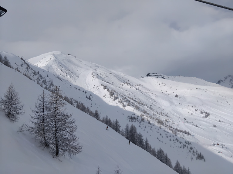 Les 25cm nocturnes qui font plaisir 