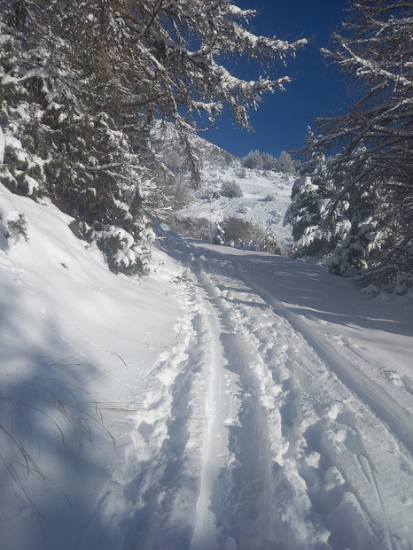 une poudre bien légère 😊