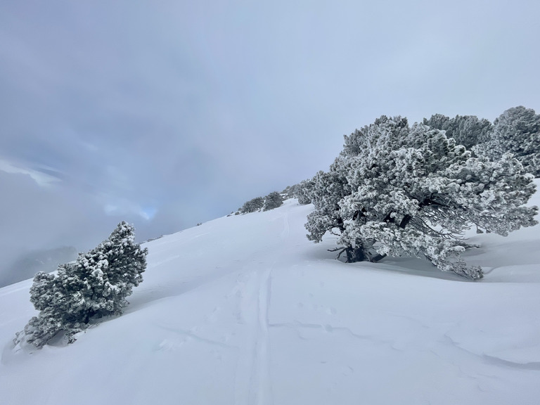 Danse avec les nuages