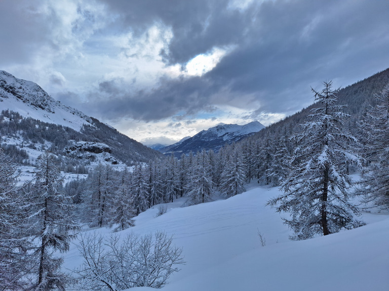 Excellent dans la forêt, visi très moyenne au dessus. 