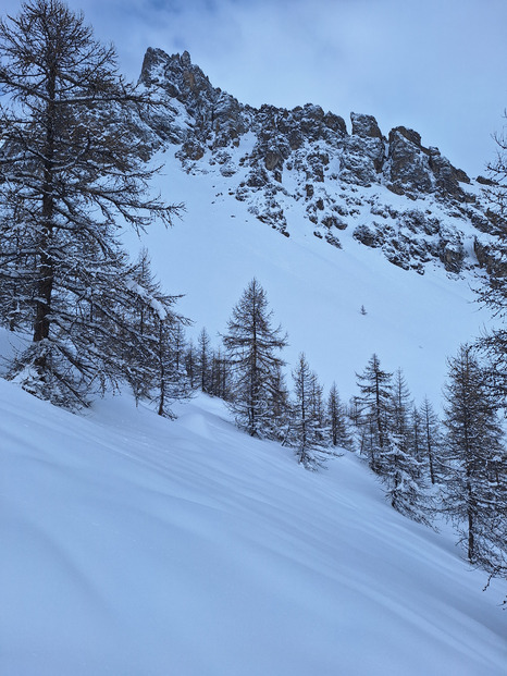 Excellent dans la forêt, visi très moyenne au dessus. 