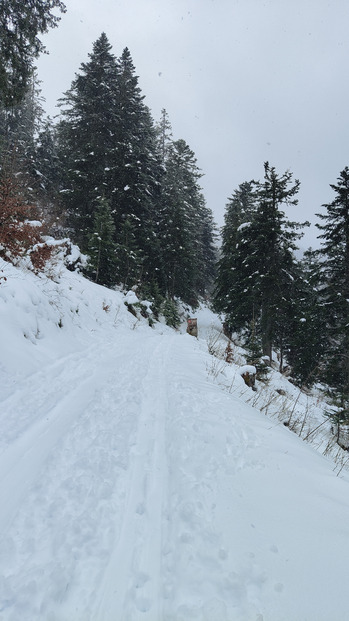 Quand t'aimes le ski mais que t'as pas de voiture 🤷