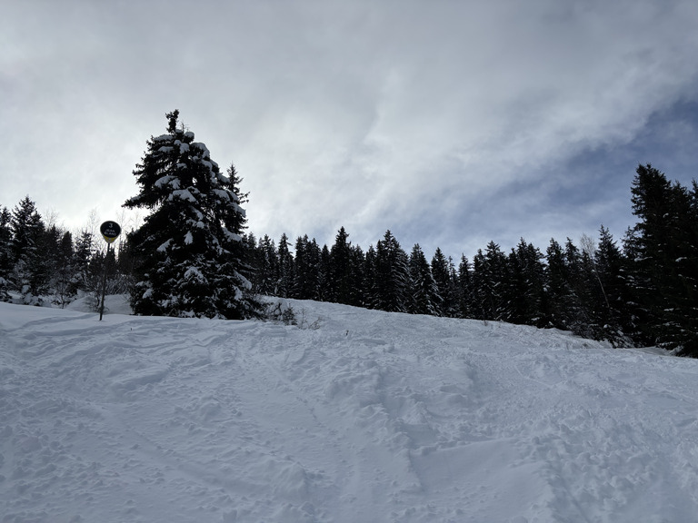 à l’abri du vent 💨 