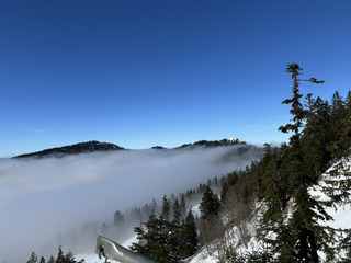 Une journée photogénique à jouer à saute nuages :)