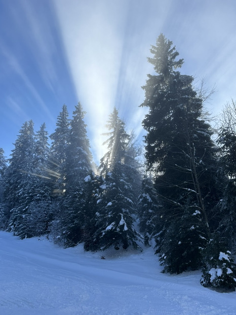 Une journée photogénique à jouer à saute nuages :)