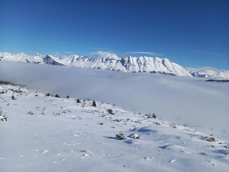 Rochers en bas, Royal en haut.