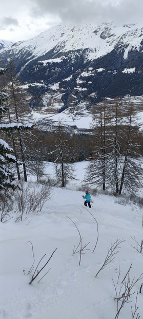 50 nuances de poudre