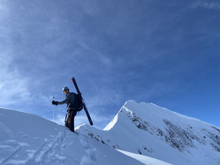 On croque l'Ara-vie &agrave; pleines dents