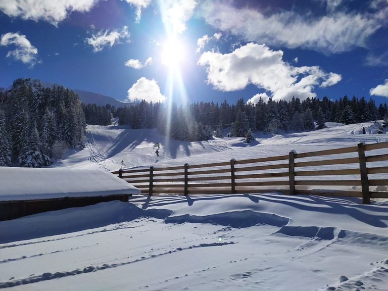 de la neige sur les sapins :-)