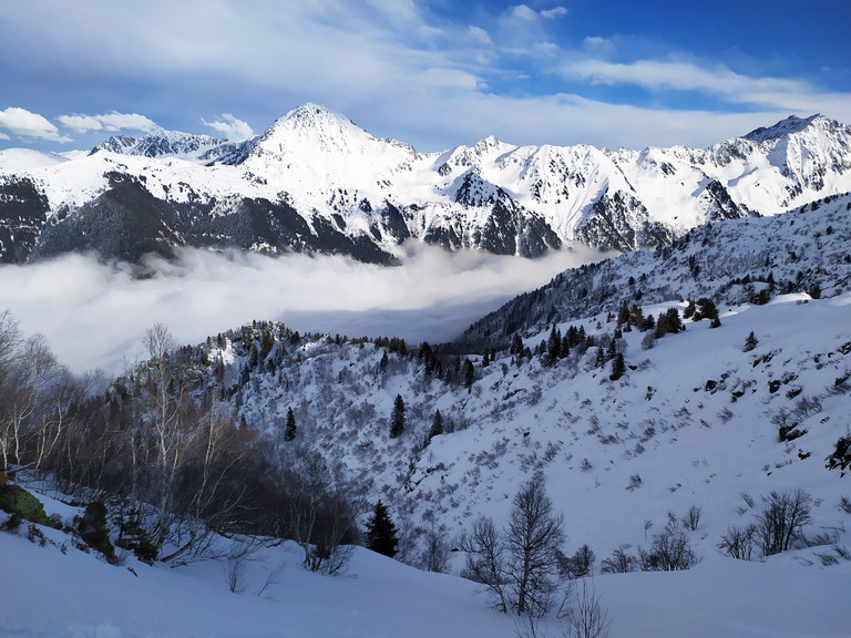 de la neige sur les sapins :-)