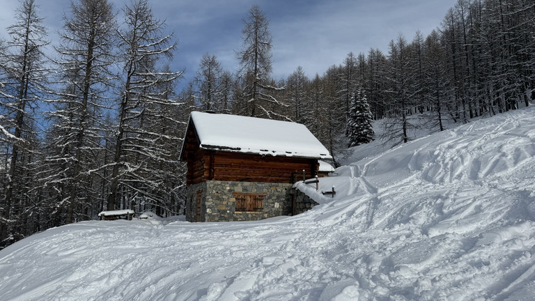 Un bon Auron !