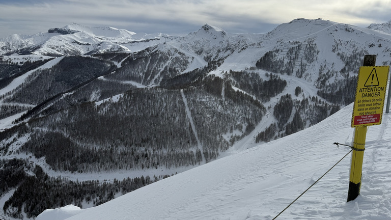 Un bon Auron !