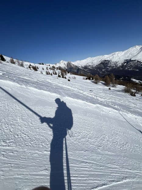 Un dimanche plein de soleil et de connerie 