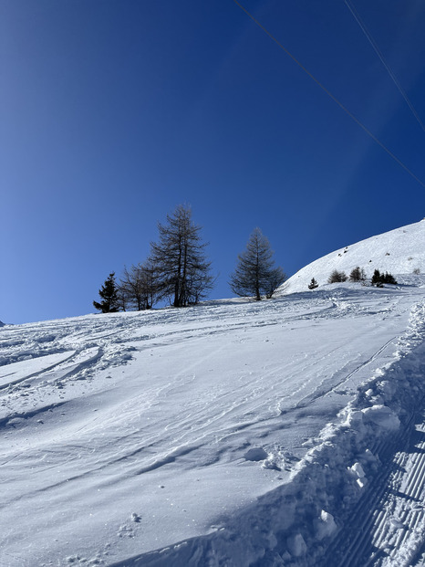 Un dimanche plein de soleil et de connerie 