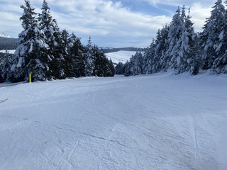 Retour de la neige au pays du Mezenc!
