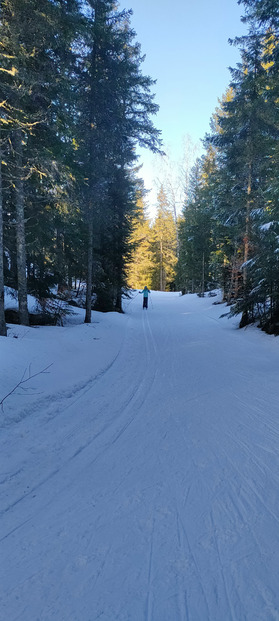 Ski de fond mi-printanier mi-hivernal