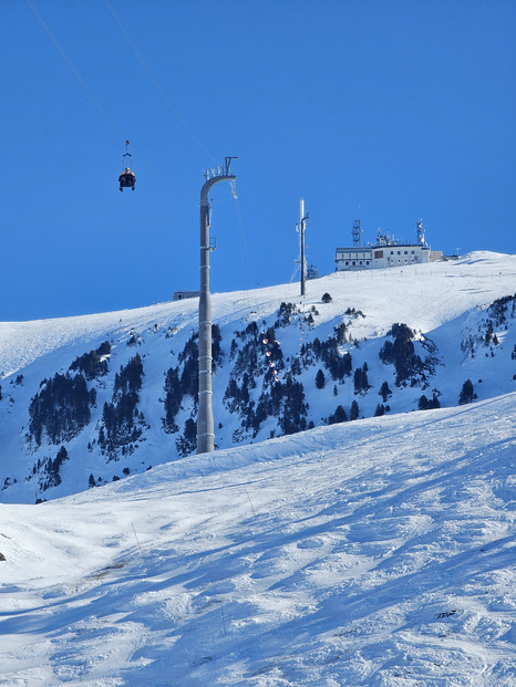 Chamrousse : MARMOTTES !!!