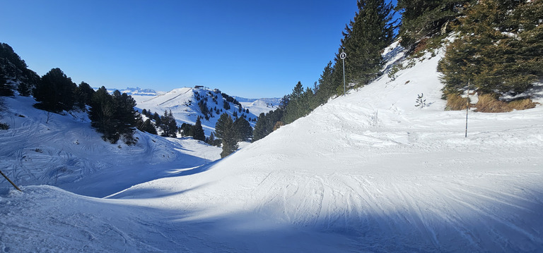 Chamrousse : MARMOTTES !!!