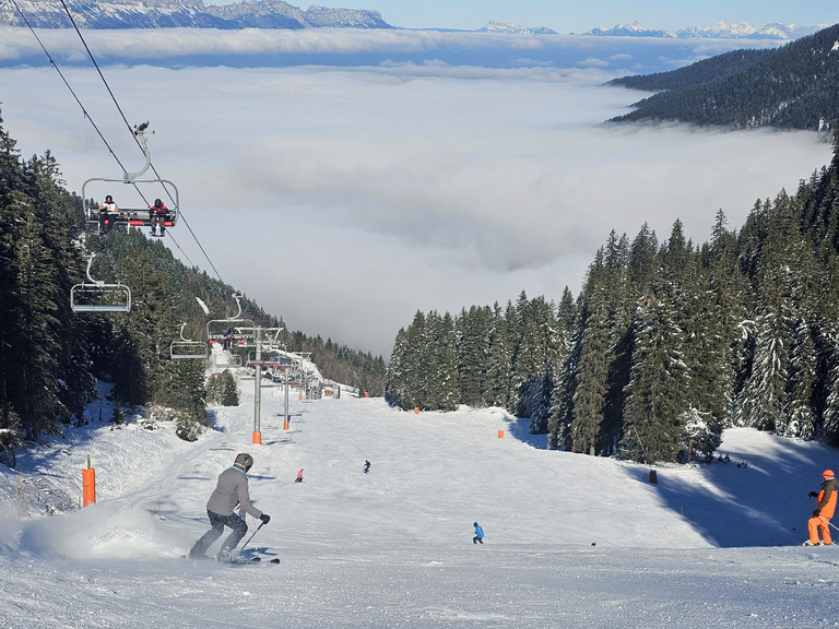 Chamrousse : MARMOTTES !!!