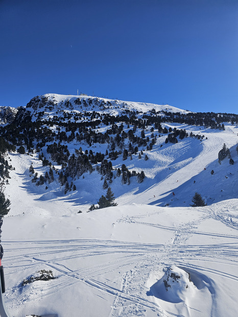 Chamrousse : MARMOTTES !!!