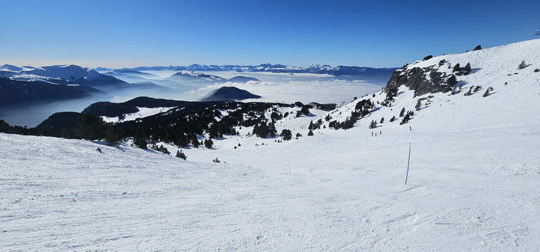 Chamrousse : MARMOTTES !!!