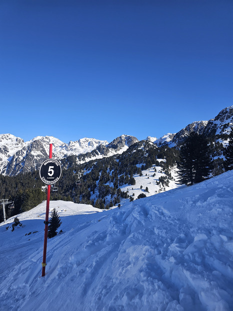 Chamrousse : MARMOTTES !!!