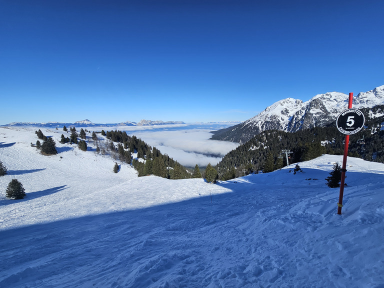 Chamrousse : MARMOTTES !!!